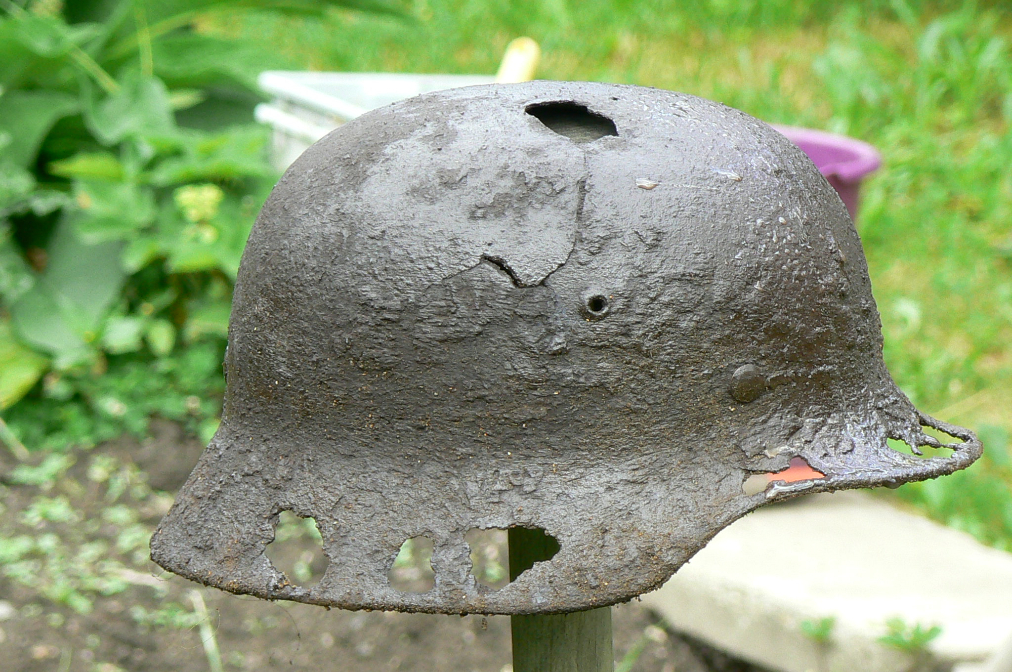 helma-2.JPG