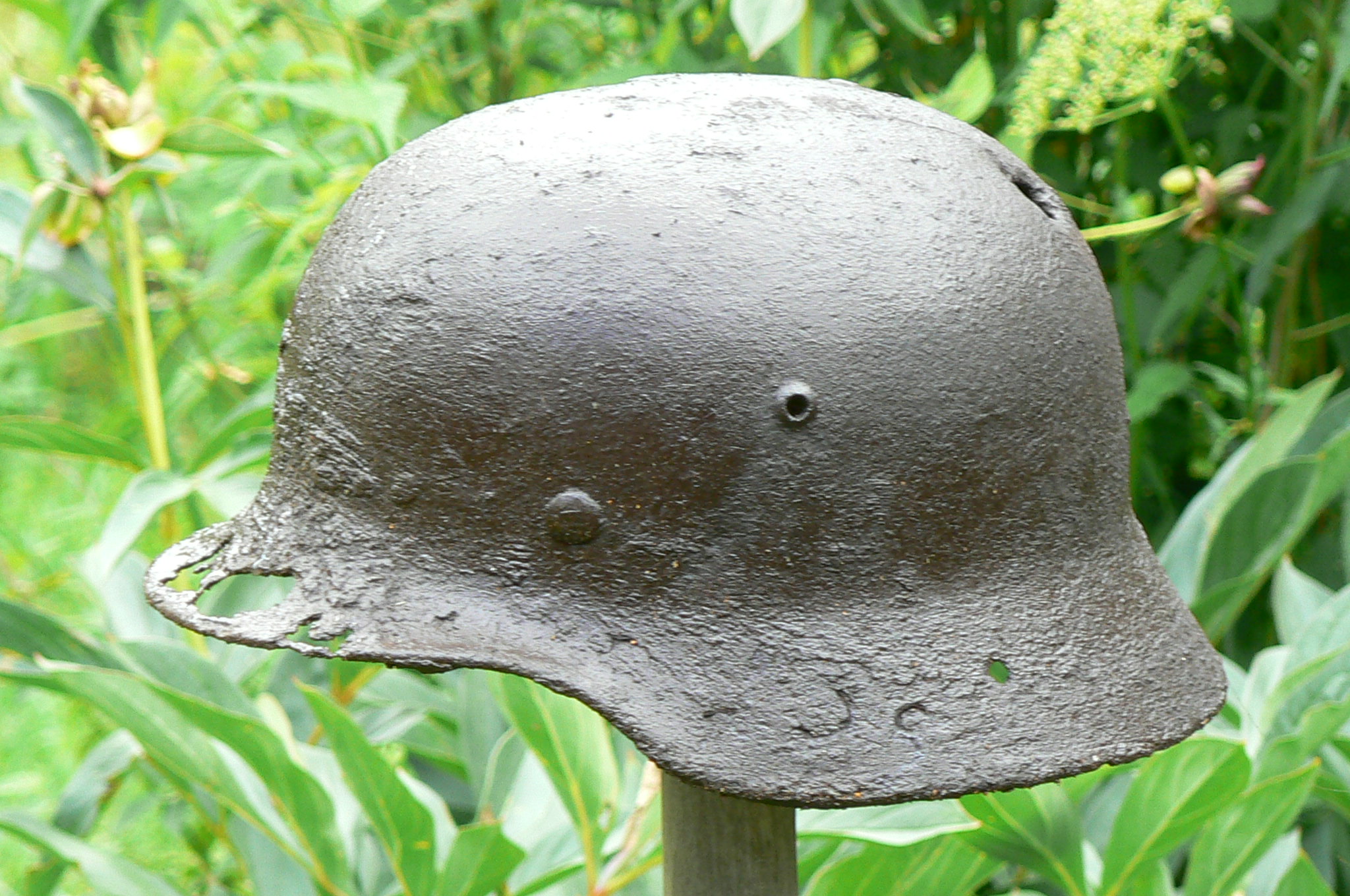 helma-4.JPG